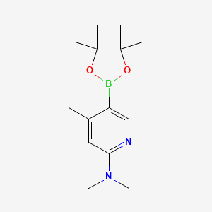 molecular formula C14H23BN2O2 B6338216 N,N,4-Trimethyl-5-(4,4,5,5-tetramethyl-1,3,2-dioxaborolan-2-YL)pyridin-2-amine CAS No. 1046862-09-2