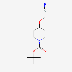molecular formula C12H20N2O3 B6342716 tert-Butyl 4-(cyanomethoxy)piperidine-1-carboxylate CAS No. 857653-97-5