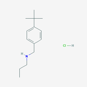 molecular formula C14H24ClN B6344021 [(4-tert-Butylphenyl)methyl](propyl)amine hydrochloride CAS No. 1240571-18-9