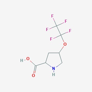 molecular formula C7H8F5NO3 B6350494 4-(Perfluoroethoxy)pyrrolidine-2-carboxylic acid CAS No. 1301738-48-6