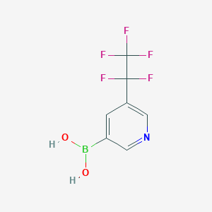 molecular formula C7H5BF5NO2 B6350611 [5-(pentafluoroethyl)pyridin-3-yl]boronic acid CAS No. 2096331-80-3