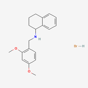molecular formula C19H24BrNO2 B6351964 N-(2,4-dimethoxybenzyl)-1,2,3,4-tetrahydro-1-naphthalenamine hydrobromide CAS No. 1609407-35-3