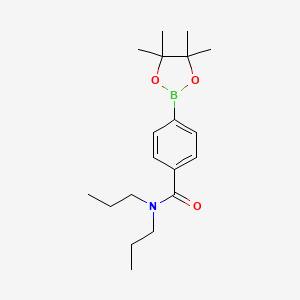 molecular formula C19H30BNO3 B6355405 N,N-Dipropyl-4-(4,4,5,5-tetramethyl-1,3,2-dioxaborolan-2-yl)benzamide CAS No. 2724208-39-1