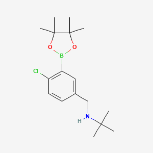5-(N-t-Butylaminomethyl)-2-chlorophenylboronic acid, pinacol ester;  98%