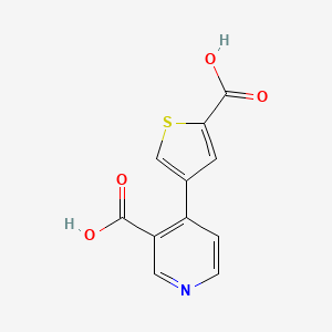molecular formula C11H7NO4S B6414671 4-(2-CARBOXYTHIOPHENE-4-YL)NICOTINIC ACID CAS No. 1261908-59-1