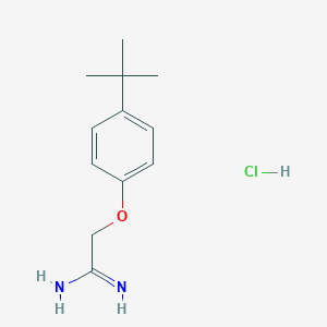 molecular formula C12H19ClN2O B064161 2-(4-tert-butylphenoxy)ethanimidamide Hydrochloride CAS No. 175277-47-1