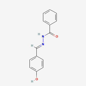 molecular formula C14H12N2O2 B6420367 N'-[(1E)-(4-hydroxyphenyl)methylidene]benzohydrazide CAS No. 31083-62-2