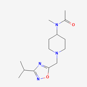 B6435012 N-methyl-N-(1-{[3-(propan-2-yl)-1,2,4-oxadiazol-5-yl]methyl}piperidin-4-yl)acetamide CAS No. 2549053-06-5