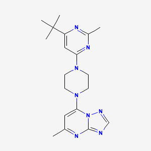 B6435802 4-tert-butyl-2-methyl-6-(4-{5-methyl-[1,2,4]triazolo[1,5-a]pyrimidin-7-yl}piperazin-1-yl)pyrimidine CAS No. 2549051-29-6