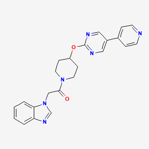 2-(1H-1,3-benzodiazol-1-yl)-1-(4-{[5-(pyridin-4-yl)pyrimidin-2-yl]oxy}piperidin-1-yl)ethan-1-one