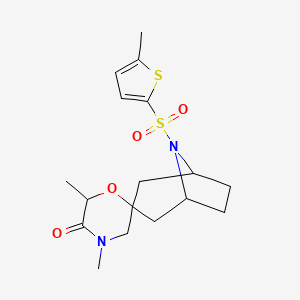 molecular formula C17H24N2O4S2 B6465131 4',6'-dimethyl-8-[(5-methylthiophen-2-yl)sulfonyl]-8-azaspiro[bicyclo[3.2.1]octane-3,2'-morpholin]-5'-one CAS No. 2640815-08-1