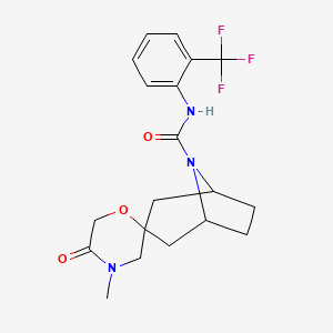 molecular formula C19H22F3N3O3 B6465491 4'-methyl-5'-oxo-N-[2-(trifluoromethyl)phenyl]-8-azaspiro[bicyclo[3.2.1]octane-3,2'-morpholine]-8-carboxamide CAS No. 2640814-86-2