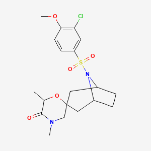 molecular formula C19H25ClN2O5S B6466007 8-(3-chloro-4-methoxybenzenesulfonyl)-4',6'-dimethyl-8-azaspiro[bicyclo[3.2.1]octane-3,2'-morpholin]-5'-one CAS No. 2640818-50-2