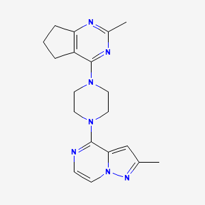 molecular formula C19H23N7 B6466219 1-{2-methyl-5H,6H,7H-cyclopenta[d]pyrimidin-4-yl}-4-{2-methylpyrazolo[1,5-a]pyrazin-4-yl}piperazine CAS No. 2640971-78-2