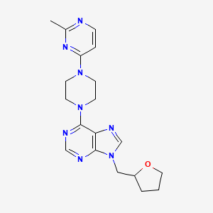 molecular formula C19H24N8O B6467047 6-[4-(2-methylpyrimidin-4-yl)piperazin-1-yl]-9-[(oxolan-2-yl)methyl]-9H-purine CAS No. 2640903-38-2