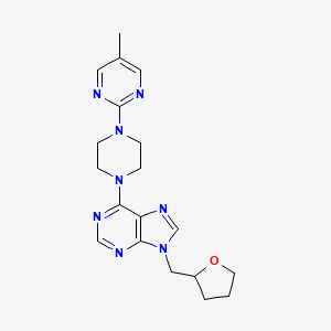 molecular formula C19H24N8O B6467048 6-[4-(5-methylpyrimidin-2-yl)piperazin-1-yl]-9-[(oxolan-2-yl)methyl]-9H-purine CAS No. 2640964-81-2