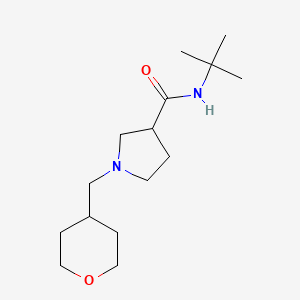 molecular formula C15H28N2O2 B6470191 N-tert-butyl-1-[(oxan-4-yl)methyl]pyrrolidine-3-carboxamide CAS No. 2640955-69-5
