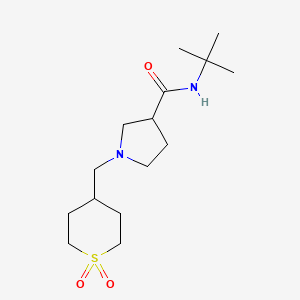 molecular formula C15H28N2O3S B6470201 N-tert-butyl-1-[(1,1-dioxo-1lambda6-thian-4-yl)methyl]pyrrolidine-3-carboxamide CAS No. 2640844-06-8