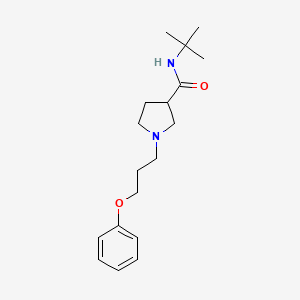 molecular formula C18H28N2O2 B6472271 N-tert-butyl-1-(3-phenoxypropyl)pyrrolidine-3-carboxamide CAS No. 2640845-31-2
