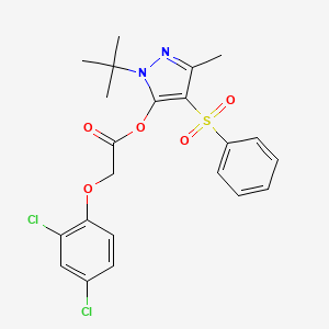 4-(benzenesulfonyl)-1-tert-butyl-3-methyl-1H-pyrazol-5-yl 2-(2,4-dichlorophenoxy)acetate