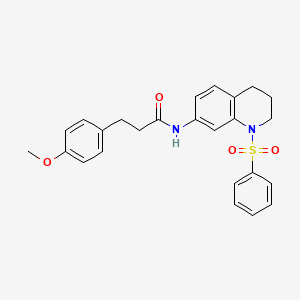 molecular formula C25H26N2O4S B6560369 N-[1-(benzenesulfonyl)-1,2,3,4-tetrahydroquinolin-7-yl]-3-(4-methoxyphenyl)propanamide CAS No. 946349-75-3