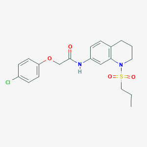 B6571156 2-(4-chlorophenoxy)-N-[1-(propane-1-sulfonyl)-1,2,3,4-tetrahydroquinolin-7-yl]acetamide CAS No. 946291-85-6