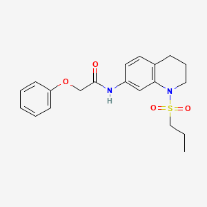 2-phenoxy-N-[1-(propane-1-sulfonyl)-1,2,3,4-tetrahydroquinolin-7-yl]acetamide