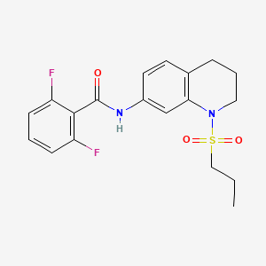 2,6-difluoro-N-[1-(propane-1-sulfonyl)-1,2,3,4-tetrahydroquinolin-7-yl]benzamide