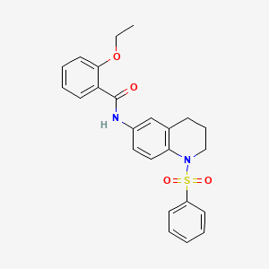 N-[1-(benzenesulfonyl)-1,2,3,4-tetrahydroquinolin-6-yl]-2-ethoxybenzamide