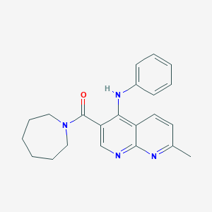 molecular formula C22H24N4O B6583997 3-(azepane-1-carbonyl)-7-methyl-N-phenyl-1,8-naphthyridin-4-amine CAS No. 1251675-94-1