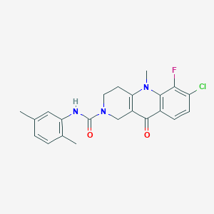 7-chloro-N-(2,5-dimethylphenyl)-6-fluoro-5-methyl-10-oxo-1H,2H,3H,4H,5H,10H-benzo[b]1,6-naphthyridine-2-carboxamide