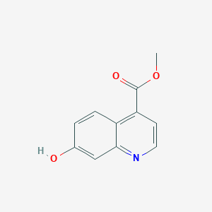 molecular formula C11H9NO3 B6591062 Methyl 7-hydroxyquinoline-4-carboxylate CAS No. 1260825-38-4