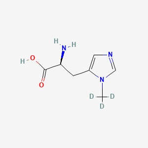 B6594942 3-Methylhistidine D3 CAS No. 144868-18-8