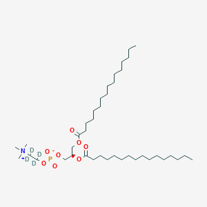 molecular formula C40H80NO8P B6595530 DPPC-d4 CAS No. 326495-33-4