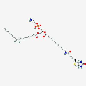 18:1-12:0 Biotin PE
