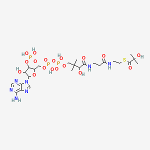 molecular formula C25H42N7O18P3S B6596572 2-Hydroxyisobutyryl-CoA CAS No. 1383119-39-8