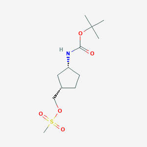 molecular formula C12H23NO5S B6597473 Carbamic acid, N-[(1R,3S)-3-[[(methylsulfonyl)oxy]methyl]cyclopentyl]-, 1,1-dimethylethyl ester CAS No. 862700-27-4