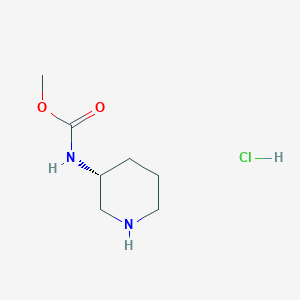 molecular formula C7H15ClN2O2 B6599987 methylN-[(3R)-piperidin-3-yl]carbamatehydrochloride CAS No. 1884705-30-9