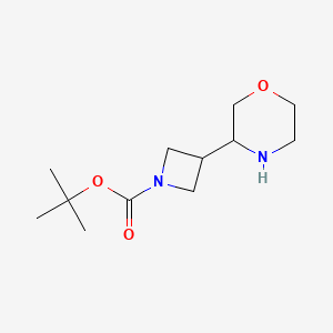 B6601933 tert-butyl 3-(morpholin-3-yl)azetidine-1-carboxylate CAS No. 2065250-71-5