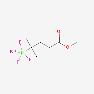 molecular formula C7H13BF3KO2 B6608188 potassium trifluoro(5-methoxy-2-methyl-5-oxopentan-2-yl)boranuide CAS No. 2108678-38-0