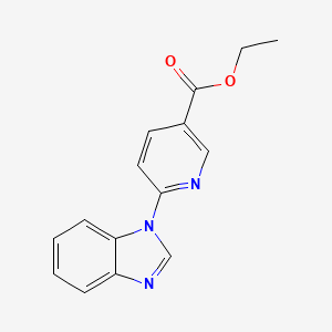 molecular formula C15H13N3O2 B6613921 Ethyl 6-(benzimidazol-1-yl)nicotinate CAS No. 1100290-98-9