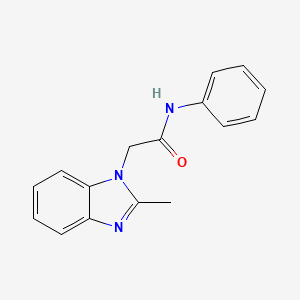 molecular formula C16H15N3O B6614052 2-Methyl-N-phenyl-1H-benzimidazole-1-acetamide CAS No. 127292-11-9