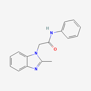 2-Methyl-N-phenyl-1H-benzimidazole-1-acetamide