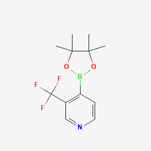 4-(tetramethyl-1,3,2-dioxaborolan-2-yl)-3-(trifluoromethyl)pyridine
