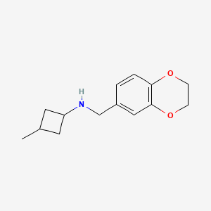 molecular formula C14H19NO2 B6643560 N-(2,3-dihydro-1,4-benzodioxin-6-ylmethyl)-3-methylcyclobutan-1-amine 