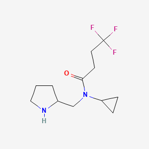 molecular formula C12H19F3N2O B6644611 N-cyclopropyl-4,4,4-trifluoro-N-(pyrrolidin-2-ylmethyl)butanamide 