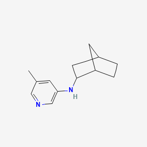 molecular formula C13H18N2 B6648888 N-(2-bicyclo[2.2.1]heptanyl)-5-methylpyridin-3-amine 
