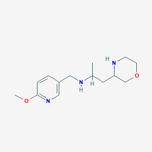 molecular formula C14H23N3O2 B6649063 N-[(6-methoxypyridin-3-yl)methyl]-1-morpholin-3-ylpropan-2-amine 