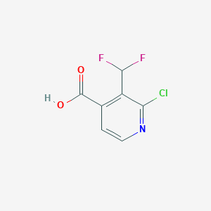 molecular formula C7H4ClF2NO2 B6650405 2-Chloro-3-(difluoromethyl)pyridine-4-carboxylic acid 