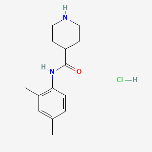 molecular formula C14H21ClN2O B6657858 N-(2,4-dimethylphenyl)piperidine-4-carboxamide;hydrochloride 